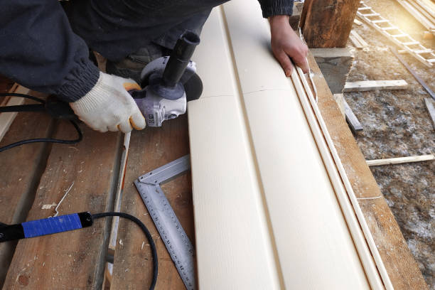 Best Fascia and Soffit Installation  in South Haven, MI